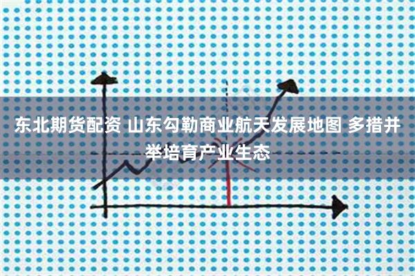 东北期货配资 山东勾勒商业航天发展地图 多措并举培育产业生态