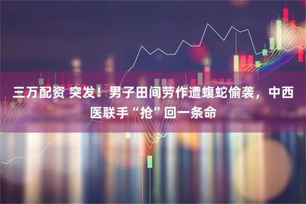 三万配资 突发！男子田间劳作遭蝮蛇偷袭，中西医联手“抢”回一条命
